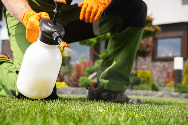 Best Residential Pest Control  in Morgantown, IN