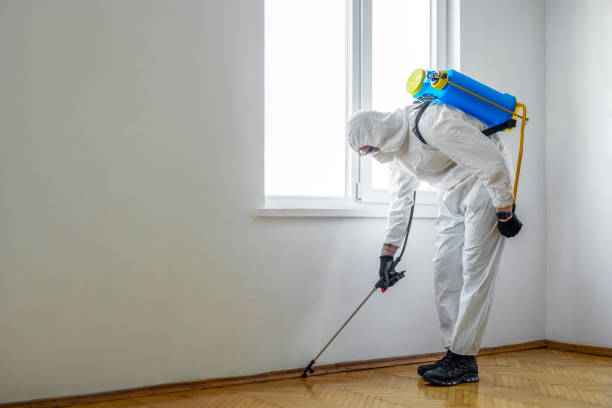 Best Pest Inspection Near Me  in Morgantown, IN