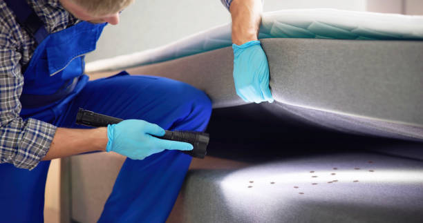 Best Cockroach Control Services  in Morgantown, IN