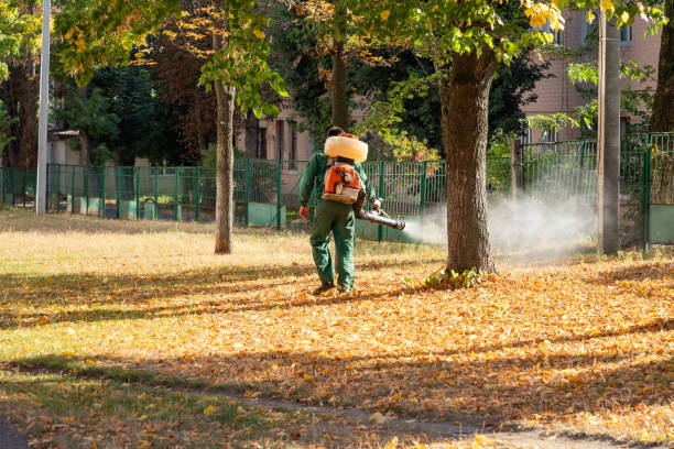 Best Pest Control Near Me  in Morgantown, IN