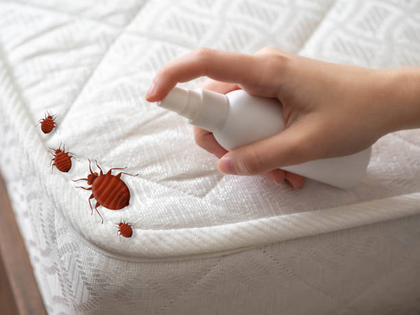 Best Cockroach Control Services  in Morgantown, IN