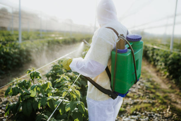 Best Best Pest Control Companies  in Morgantown, IN